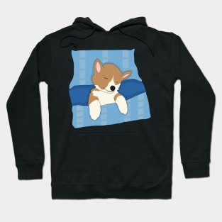 Sleepy corgi Hoodie